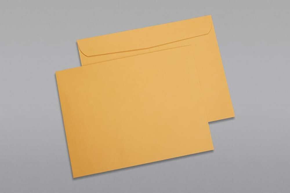 Limited Papers (TM) Booklet Envelopes, (Open Side) Brown Kraft, Gummed Seal, 28 Pound, Heavyweight, For Mailing And More. (500, 9.5 x 12)
