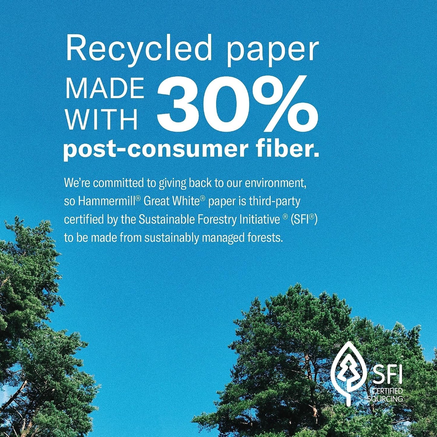 Hammermill Printer Paper, Great White 30% Recycled Paper, 3 Hole - 1 Ream (500 Sheets) - 92 Bright, Made in the USA, 086702