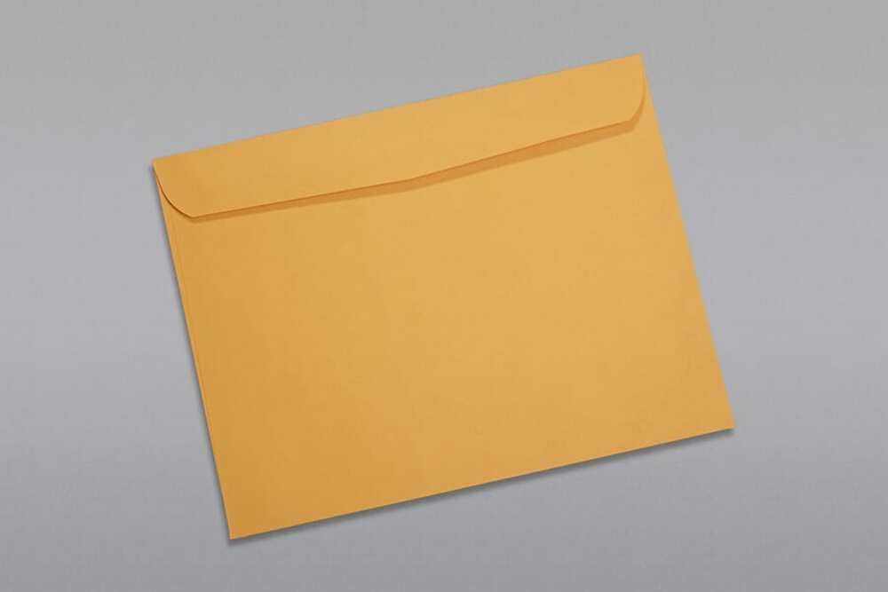 Limited Papers (TM) Booklet Envelopes, (Open Side) Brown Kraft, Gummed Seal, 28 Pound, Heavyweight, For Mailing And More. (1000, 9.5 x 12)