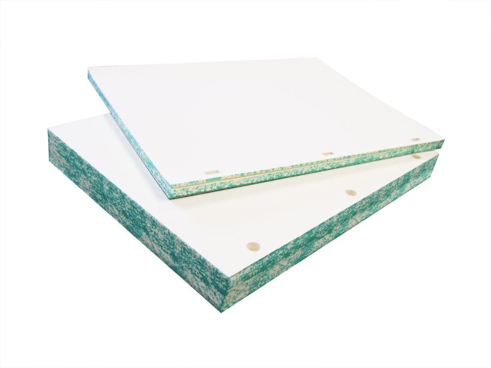 Archival Paper Watermarked 32lb Minute Paper - 11" X 8-1/2" - 100% Cotton, Acid-Free, Blank Sheets for Minute Books or Ledgers- (100 Round Holes)