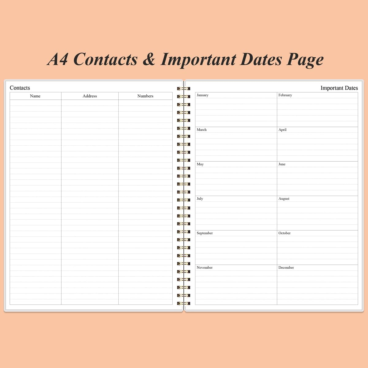 Daily Planner Undated - 8.5" x 11" To Do List Notebook Hourly Schedules, 150 Sheets/300 Pages Spiral Appointment Planner for Women and Men,PVC Hardcover, Inner Pocket, Elastic Closure, Rose Leaf