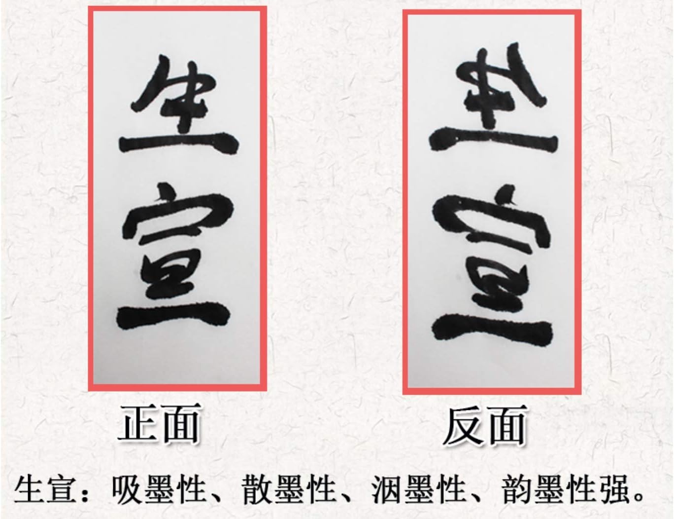 MEGREZ Chinese Japanese Calligraphy Xuan Paper, Rice Paper Sumi Calligraphy Paper for Calligraphy Brush Ink Writing, Painting Without Grids 100 Sheets/Bag,19.6 x 39.3 inch, Sheng (Raw) Xuan