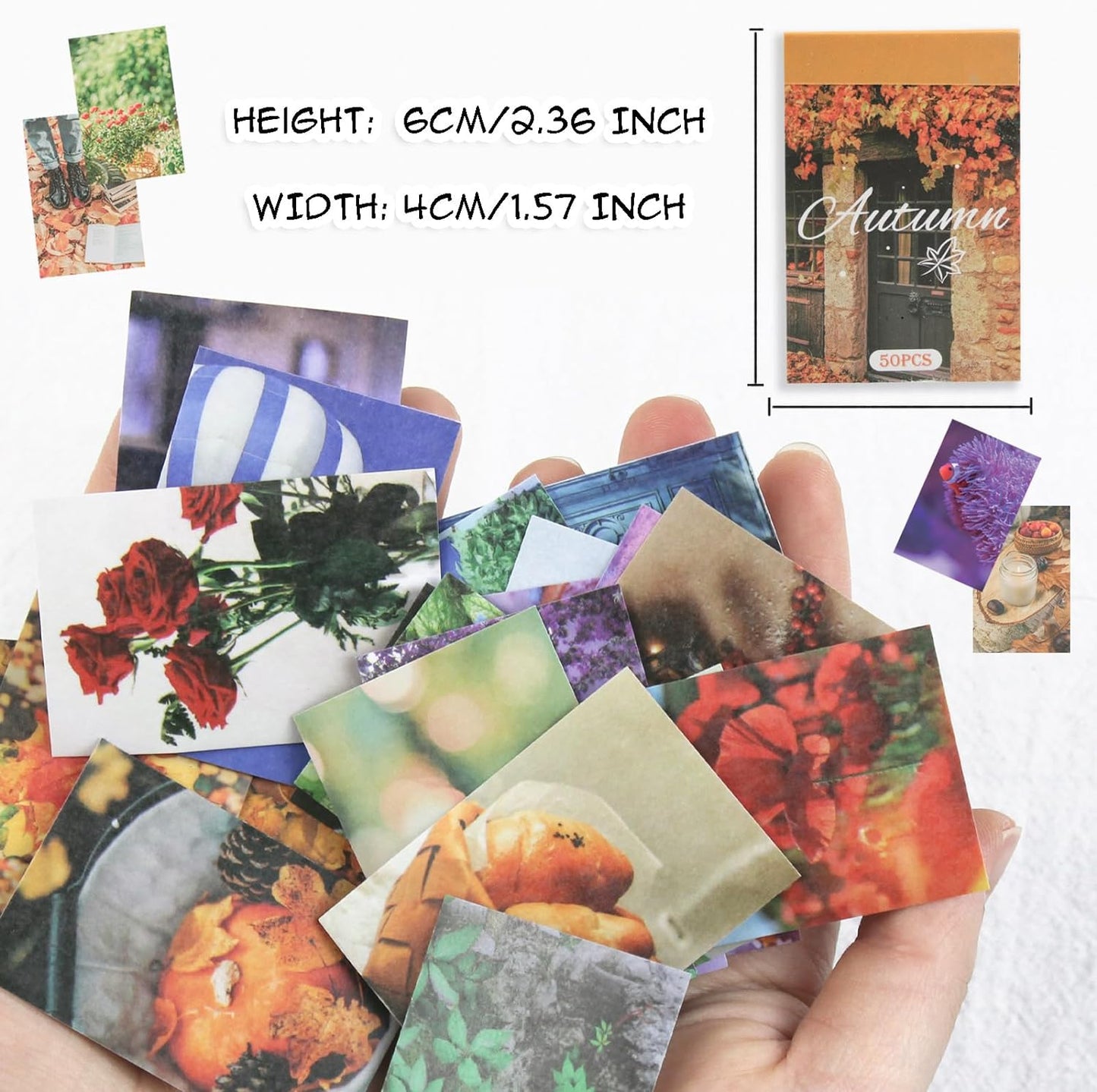 6 Sets 300 Pcs Washi Stickers Set Assorted Colors Aesthetic Sticker Book for Journaling, Daily Scenery Life Stuff Decorative Paper Sticker Decals for Scrapbooking Junk Journal Diary Album