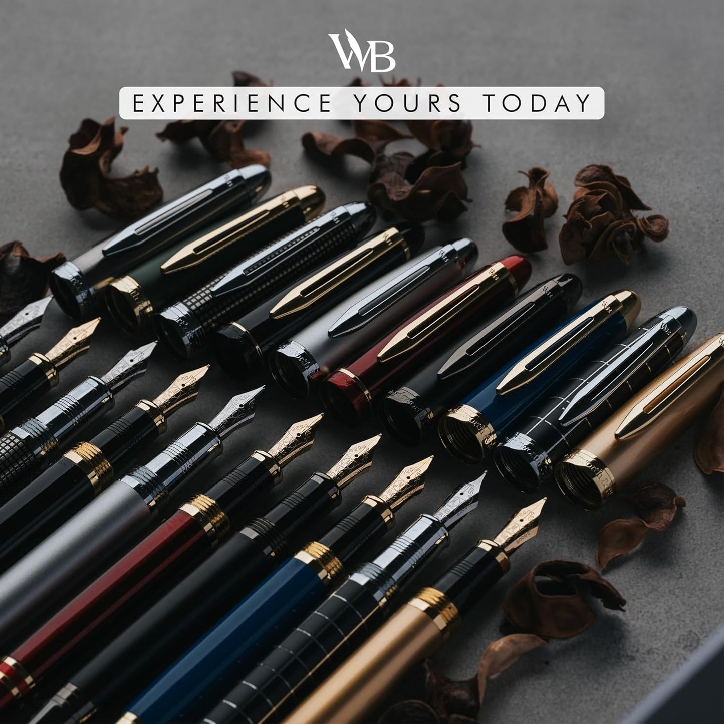 Wordsworth & Black Majesti Fountain Pen-(Checked), Luxury Case, Chrome Finish; Extra Fine Nib- Ink Cartridges, Refillable Ink Converter-Calligraphy Pen-Best Business Gift Set for Men & Women