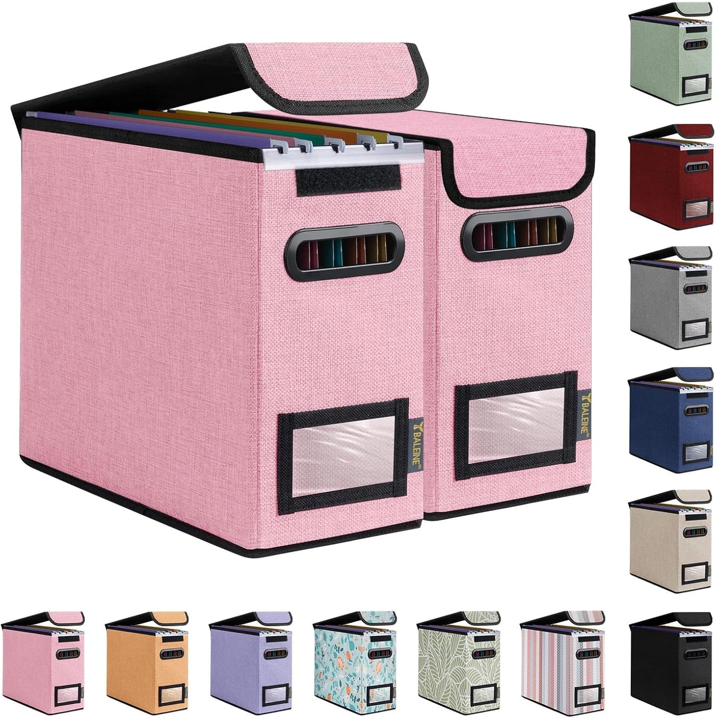 BALEINE File Organizer Box with Lid, Collapsible File Folder Organizer with Plastic Slide, Hanging File Folder Box for Office Document Storage (2 Pack, Pink, S)