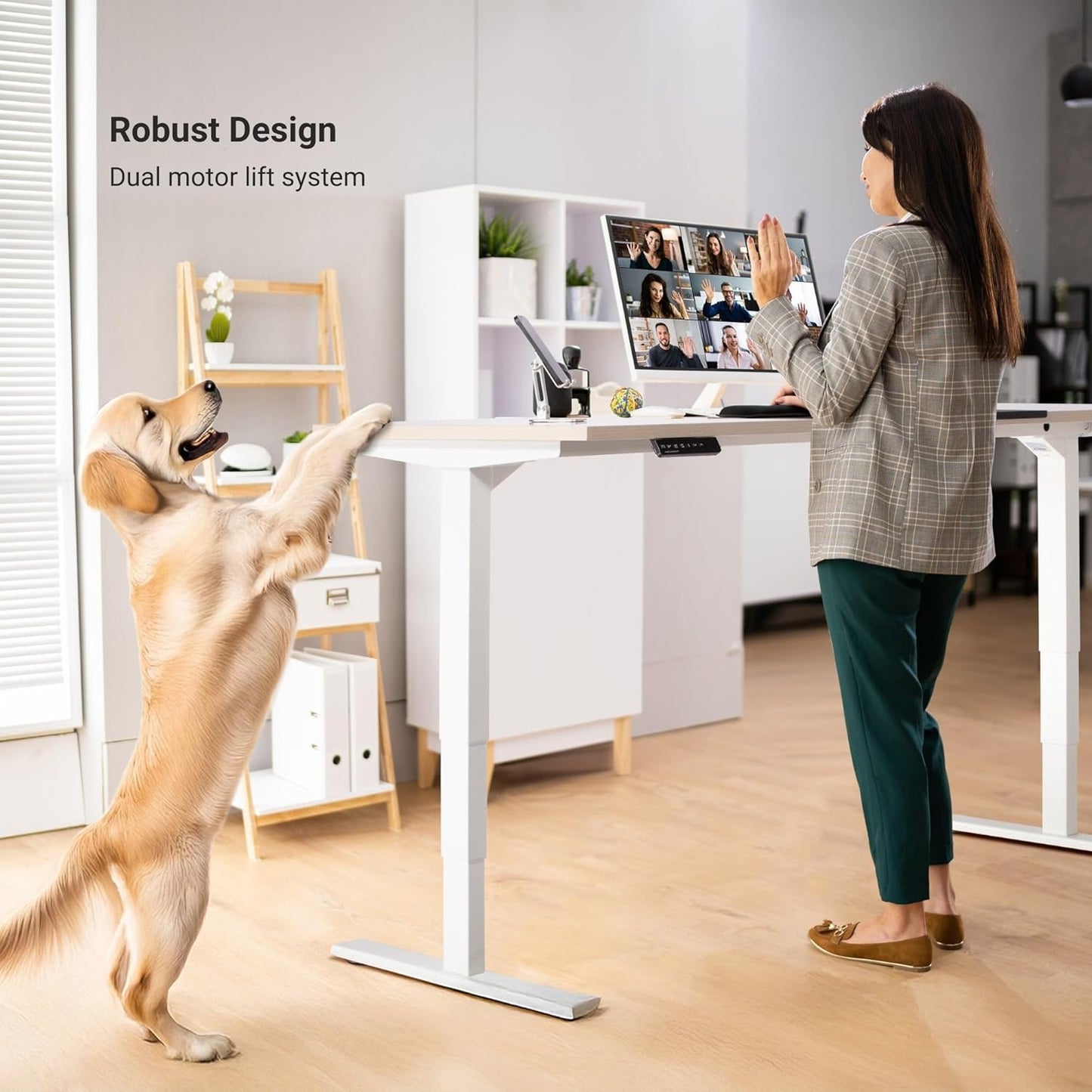 Progressive Desk Stand Up Height Adjustable Electric Standing Desk - 48" x 30" with Dual Motor, 3 Stages Sit Stand Table - Gray Oak, Black Frame